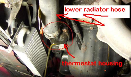 lower-radiator-hose.jpg