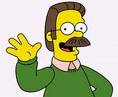 dilly-of-a-pickle-ned-flanders1.jpg
